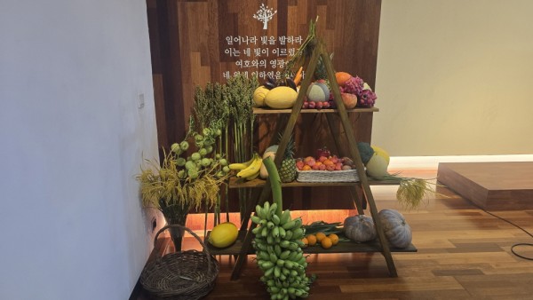 fd2f302b400c02cb3b7e1a51d7412fa3_1763699